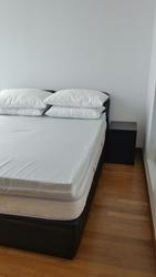 Residences @ Evelyn (D11), Condominium #131717702